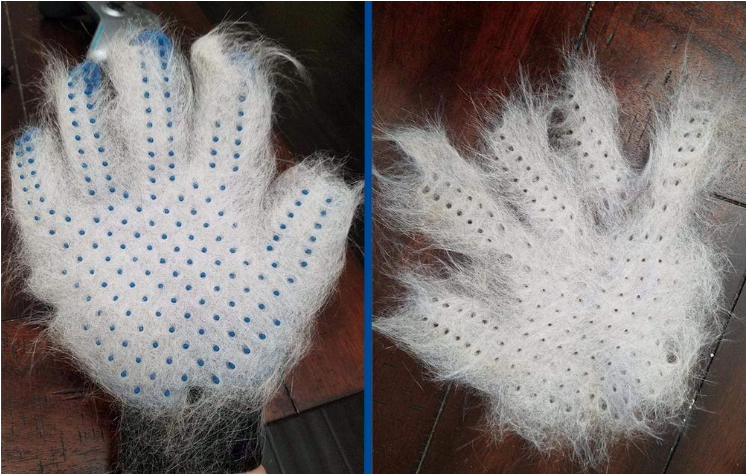 Pet Grooming Glove with 255 Silicone Tips