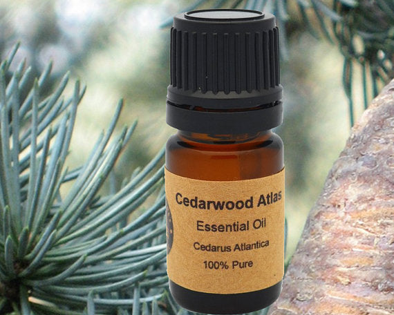 Cedarwood Atlas Essential Oil 15ml - Pure Aromatherapy Elixir from Morocco